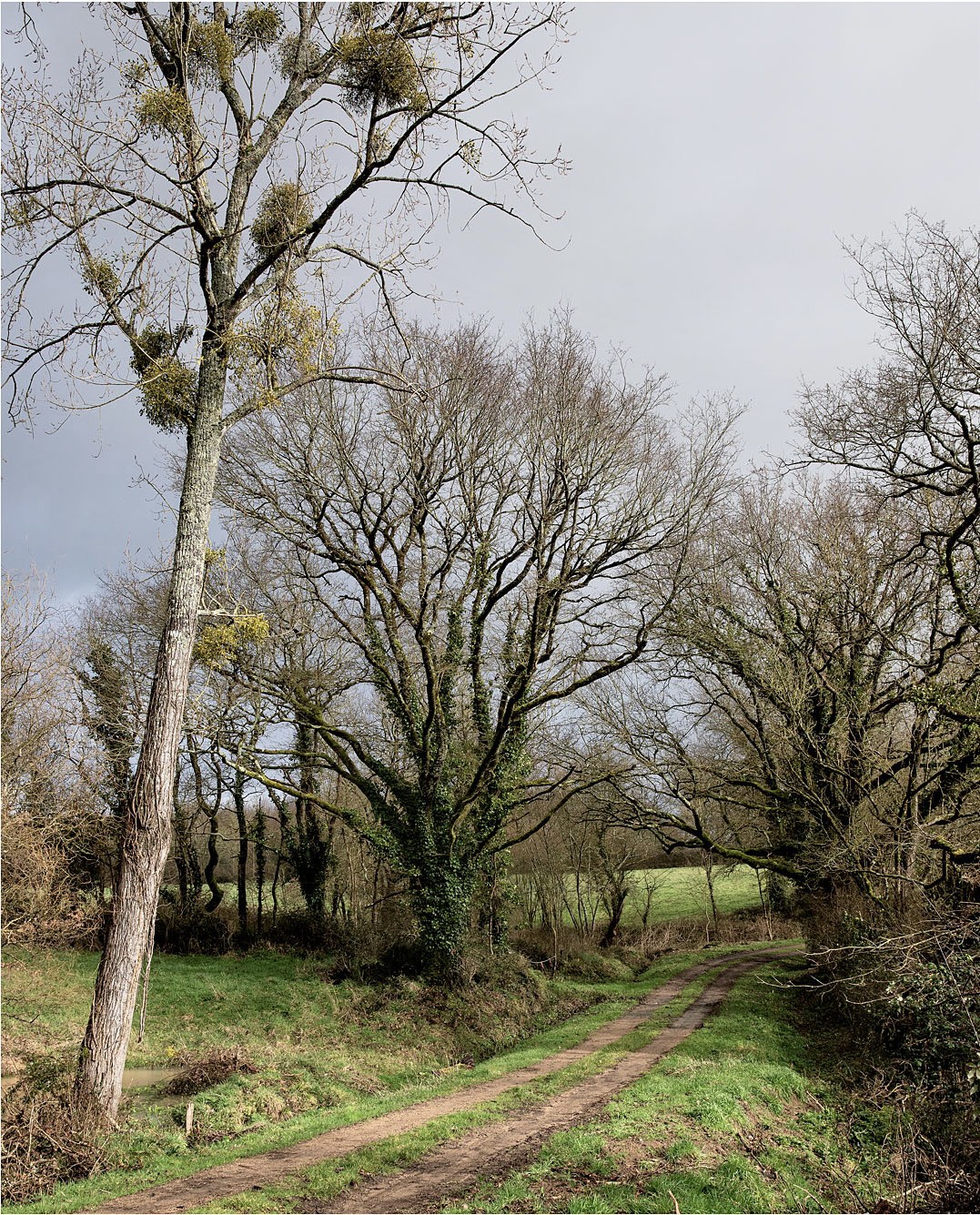 Bivouac Vendée